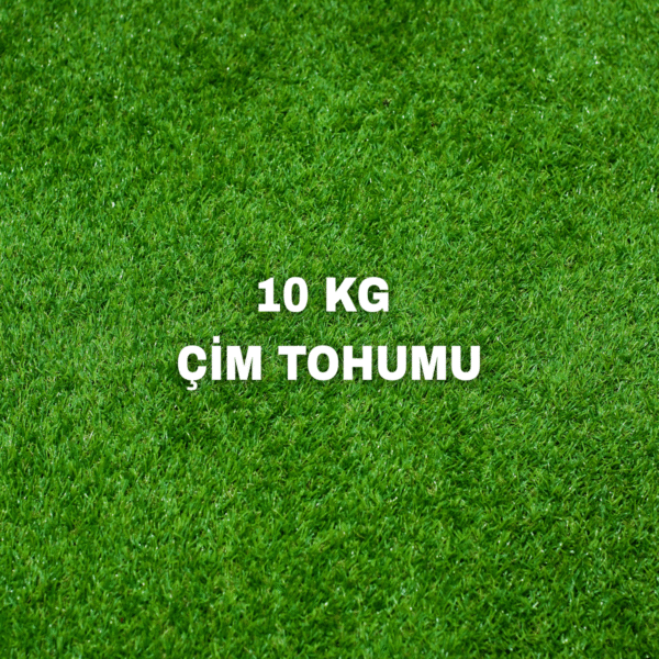 10KG ÇİM TOHUMU