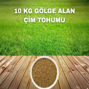10KG-GOLGE-ALAN-CIM-TOHUMU