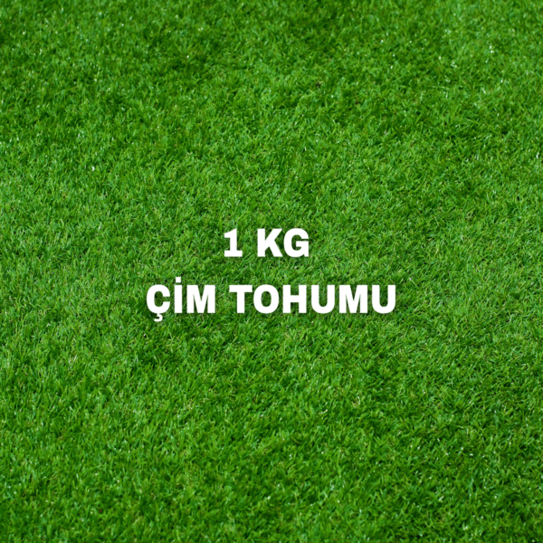 1KG ÇİM TOHUMU