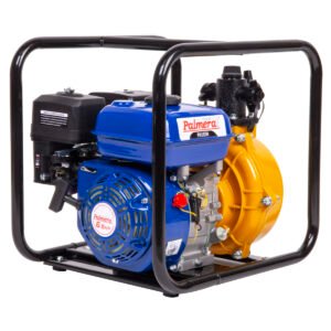 PALMERA PA15TH EUR5 YÜKSEK BASINÇLI SU MOTORU 1.5