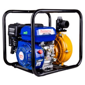 PALMERA PA20TH EUR5 YÜKSEK BASINÇLI SU MOTORU 2"