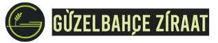guzelbahceziraat.com